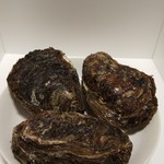 ヤマタくん - 牡蠣(３個で1000円)