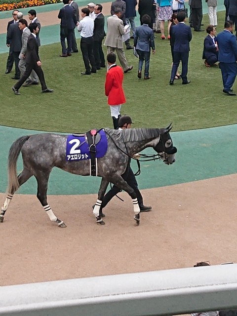 アシカのケイバ 2019安田記念 競馬場内最安値のレモンサワーでトリガミ馬券のワンコイン反省会 By アシカの親分 京樽 東京競馬場店 府中競馬正門前 寿司 食べログ