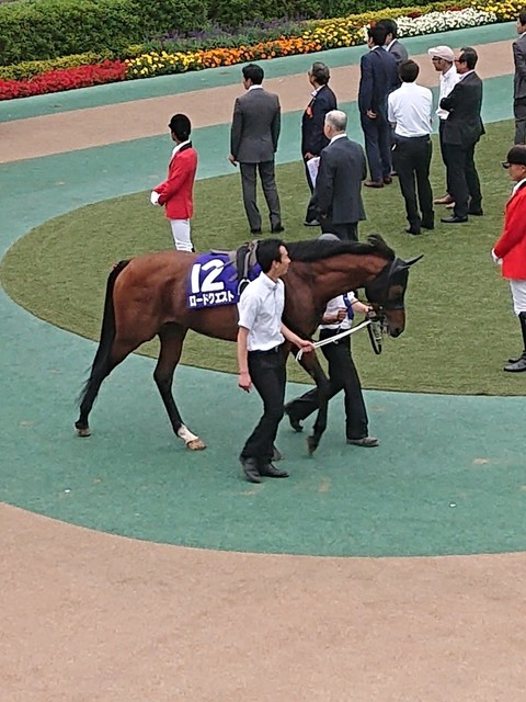 アシカのケイバ 2019安田記念 競馬場内最安値のレモンサワーでトリガミ馬券のワンコイン反省会 By アシカの親分 京樽 東京競馬場店 府中競馬正門前 寿司 食べログ