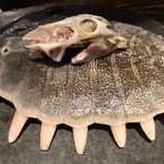 ろっかん - 甲羅