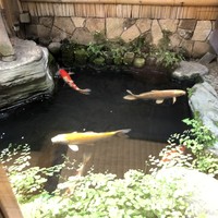 そば会席 立会川 吉田家 - 