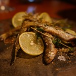 QUINDI - 琵琶湖の稚鮎のフリット