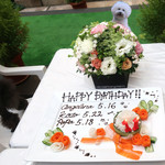 エビスエスクラッシコ - Doggie B-day cake by ES