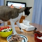 ヤオヨシ - 食べてみた