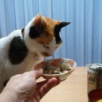 ヤオヨシ - 食べてみた