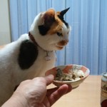 ヤオヨシ - 食べてみた