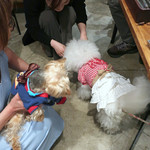 PACE - こんばんは