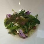 COOK JAPAN PROJECT - 