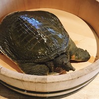 料亭 やまさ旅館 - 