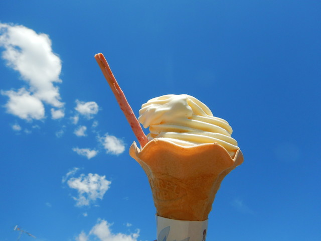 ののむら - 西帯広（弁当）の写真