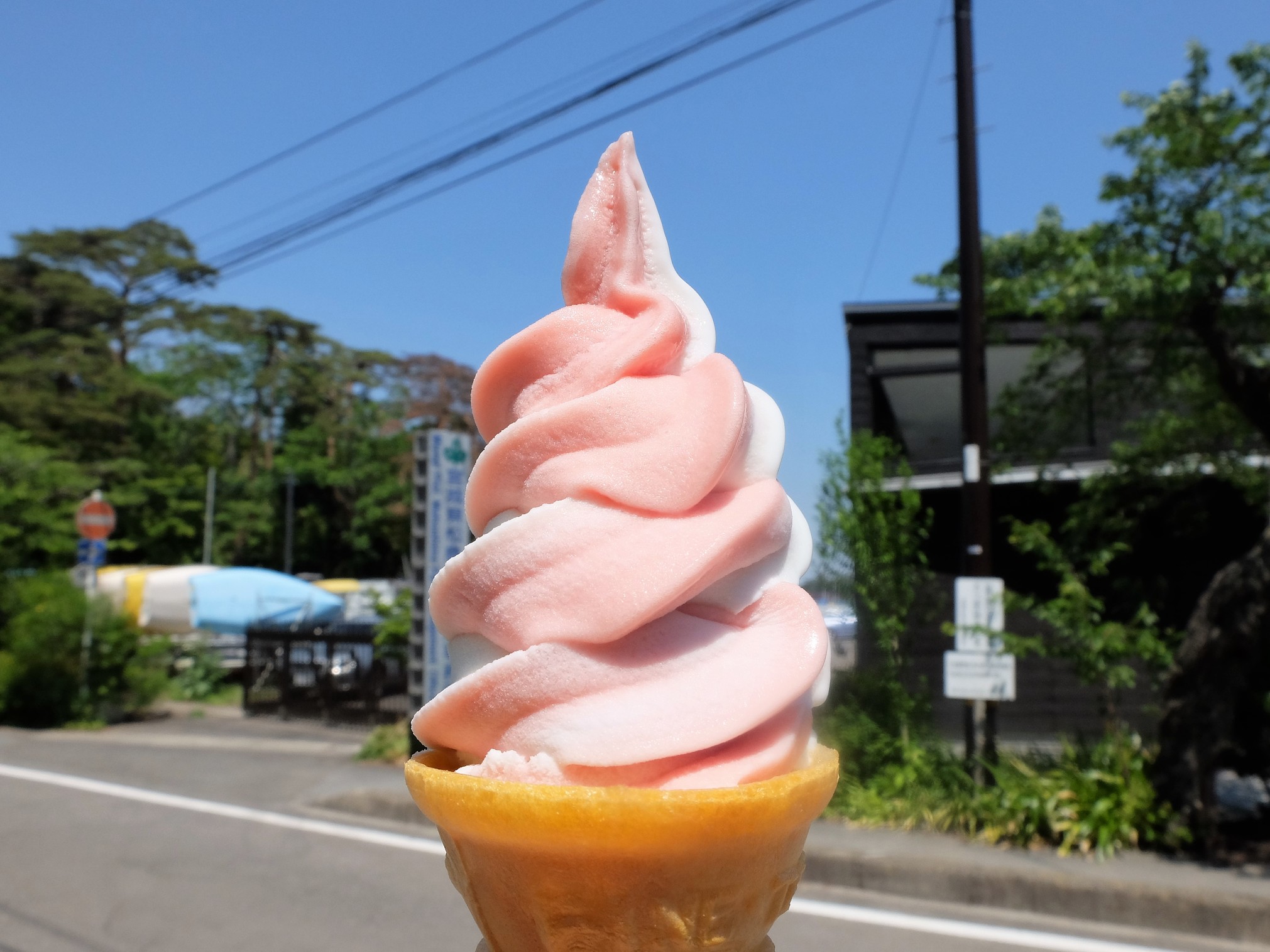 蜂谷南 