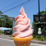 蜂谷商店 - 苺＆バニラのソフト