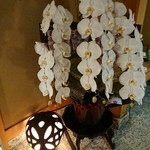 新日本料理 神也 - 