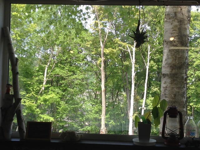 モリノカフェ - 小樽（カフェ）の写真