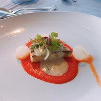 International cuisine subzero - 