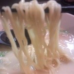 麺屋彩々 - いつも通りのツルツル・プルプルした麺　塩はちょっと細い？