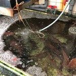 まるは食堂旅館 - 