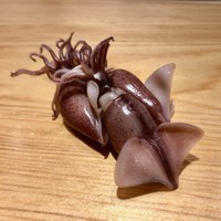 高柿の鮨 - 塩茹でした蛍烏賊