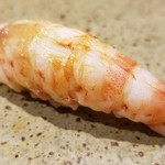 鮨匠 のむら - (16)車海老(鹿児島県産)
      産卵期は初夏～初秋、旬は初夏～初秋。
      アツアツの茹で海老、車海老らしい濃厚な味を温かい茹で立てと温かいシャリで握って下さいます。