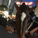 馬車BAR - 触れ合えるよ♪