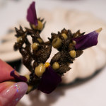 COOK JAPAN PROJECT - 