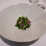 COOK JAPAN PROJECT - 