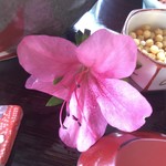 カフェアンドショップ ロータスランド - 富士山ひまつぶしグランプリ御膳 1,300円
      デザート ドリンク付き