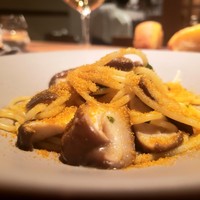 ecco - 