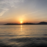THE KOBECRUISE コンチェルト - 