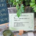 ビストロ セレニテ - 