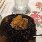 浜寿司 - ウニご飯