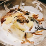 珍獣屋 - 異物(コオロギ君)