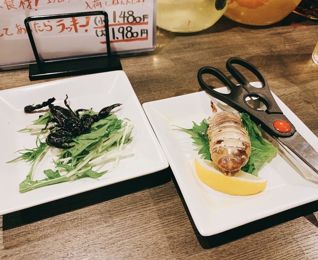 珍獣屋 渋谷店 神泉 その他 食べログ 珍獣屋 渋谷店 神泉 その他 食べログ