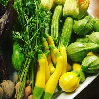 淡路マンモスファームの野菜