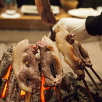 柳家 - メスイノシシ、だいぶ脂がのってきました（以下２０１１年１２月）