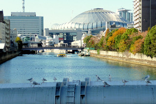 Patisserie Rechercher - すぐ近くの橋からは京セラドームが見えます。 '11 12月