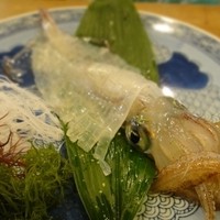 河太郎 中洲本店 - イカ使用前