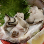 喜助 - 鳴門産特大天然岩牡蠣
