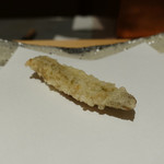 にい留 - （2019年5月）子持ちシャコ