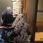 Kikkouya - お祝いに派手な胡蝶蘭が並びます。