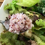 サンクスネイチャー - 39品目サラダ丼天ぷらトッピングランチ1,100円