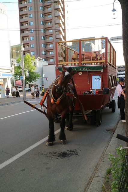 馬車BAR（BASHA BAR） - 帯広（その他）の写真