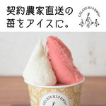 ジェラテリア ヒロ