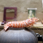 鮨旬美西川 - 輝く特大の愛知産車海老
