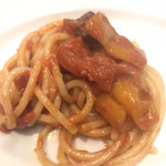 Torattoriadapupi - 