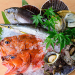 Sumibi Shuzou Kita - 九州の海の幸に舌鼓♪毎日入荷する新鮮な魚をお造り、カルパッチョでご提供