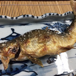 美加登家 - 攻撃的