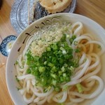 純手打ち讃岐うどん 綾 - 美しすぎる！