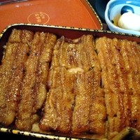 五代目 野田岩 麻布飯倉本店 - 鰻重萩