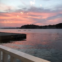 レストラン ラ・マーレ - 